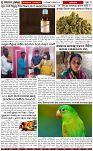 Page-3